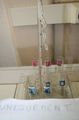 gal/LES_CINQUIEMES/ACTIVITE DIGESTION IN VITRO/Groupe_05/Groupe05_T_00h00min/_thb_Groupe05_T_00h_00min_13.JPG
